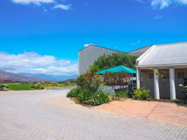 Exploring the Worcester Wine and Olive Route in the breathtaking Breede River Valley