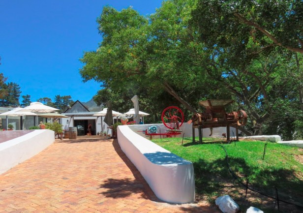 Discover Bot River, hidden gem of the Cape Winelands