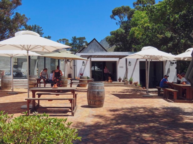 Discover Bot River, hidden gem of the Cape Winelands