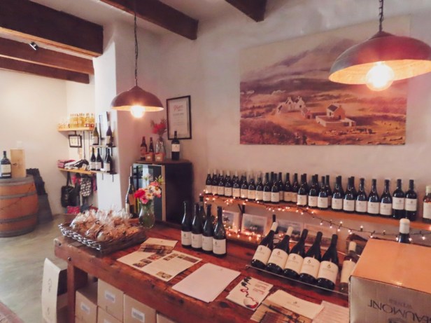 Discover Bot River, hidden gem of the Cape Winelands