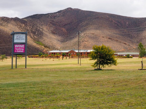 Exploring the Worcester Wine and Olive Route in the breathtaking Breede River Valley