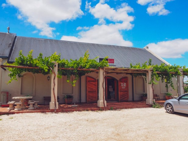 Exploring the Worcester Wine and Olive Route in the breathtaking Breede River Valley