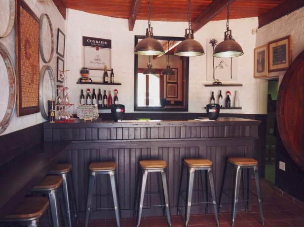 Exploring the Worcester Wine and Olive Route in the breathtaking Breede River Valley