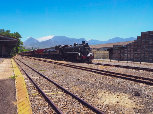 Eight cool things to do in Elgin Valley, South Africa