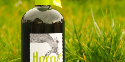 Tasting Harry's Wald Gin: A gin from the forest