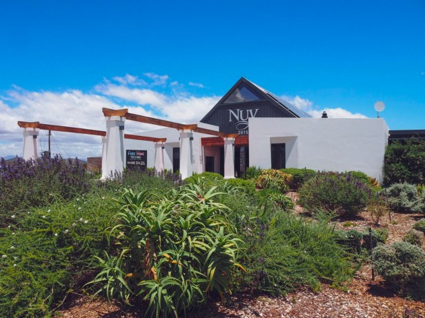 Exploring the Worcester Wine and Olive Route in the breathtaking Breede River Valley