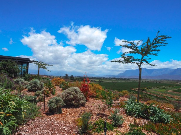 Exploring the Worcester Wine and Olive Route in the breathtaking Breede River Valley