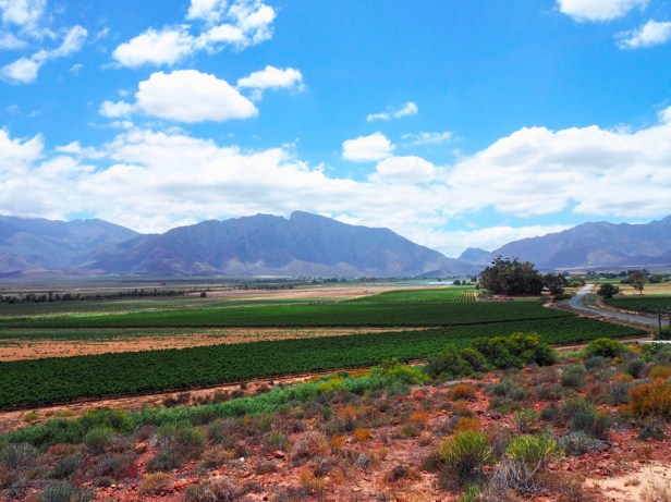 Exploring the Worcester Wine and Olive Route in the breathtaking Breede River Valley