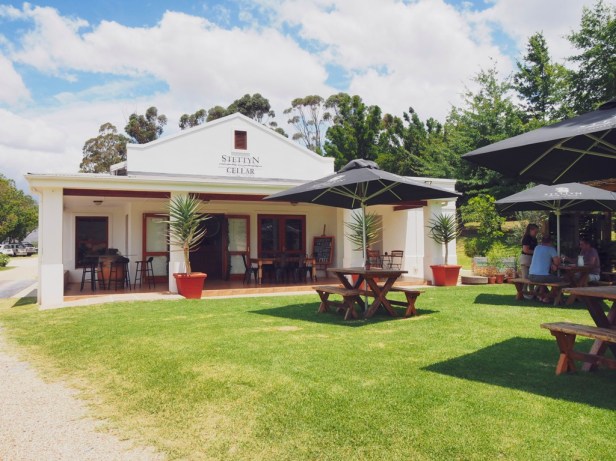 Exploring the Worcester Wine and Olive Route in the breathtaking Breede River Valley