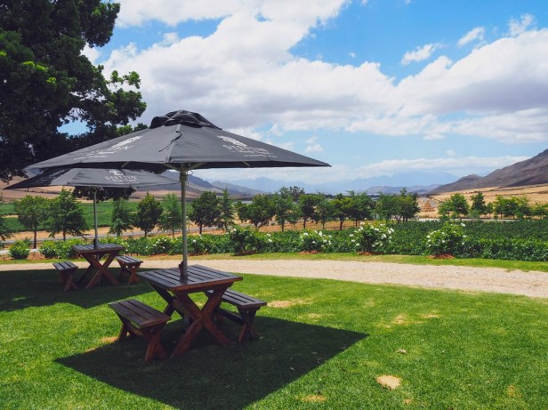 Exploring the Worcester Wine and Olive Route in the breathtaking Breede River Valley