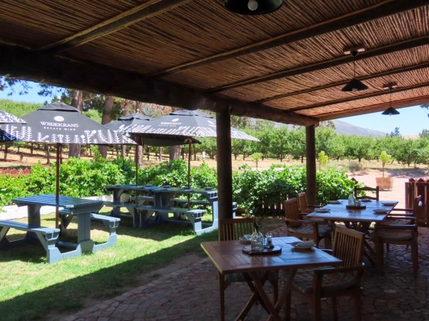 Discover Bot River, hidden gem of the Cape Winelands