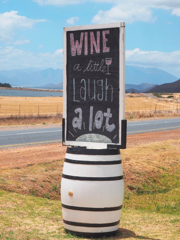 Exploring the Worcester Wine and Olive Route in the breathtaking Breede River Valley