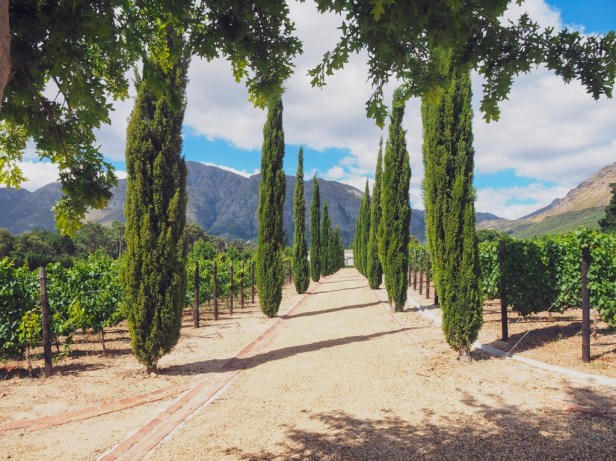 Le Lude Winery: A delightful new trendsetter of South African sparkling wines