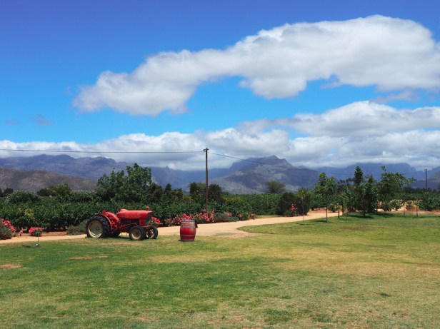 Fantastic wine-tasting along the Breedekloof Wine Route