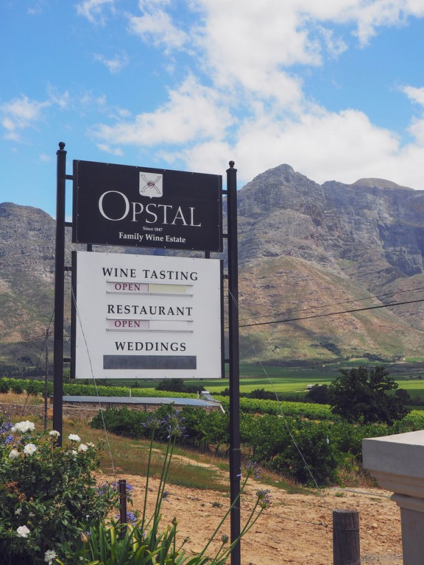 Fantastic wine-tasting along the Breedekloof Wine Route