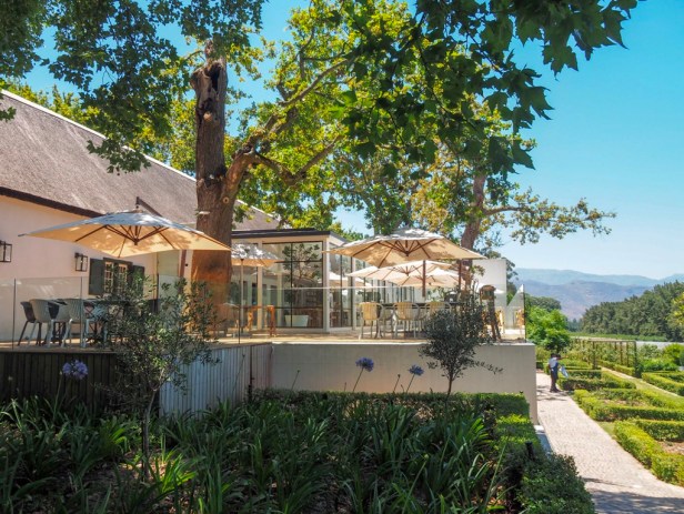 Around the world in ten exciting wines