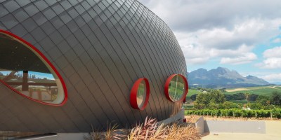 Discovering Louisvale Wines in Stellenbosch