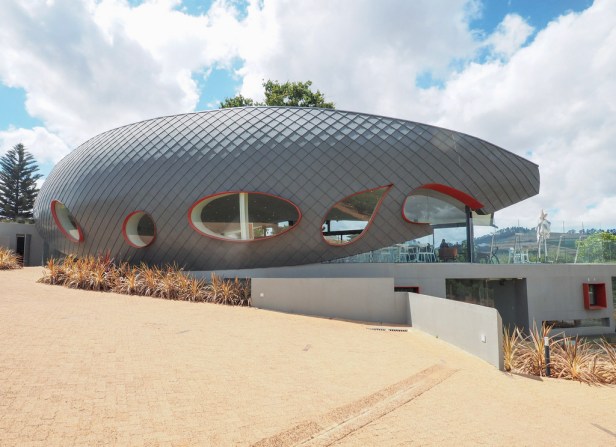 Discovering Louisvale Wines in Stellenbosch