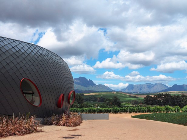Discovering Louisvale Wines in Stellenbosch