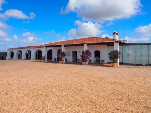 Around the world in ten exciting wines