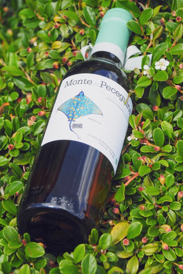 Around the world in ten exciting wines