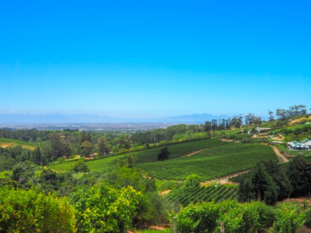 Constantia Valley