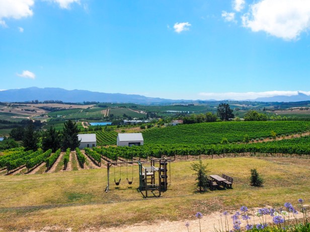 Charles Fox Cap Classique Wine Estate