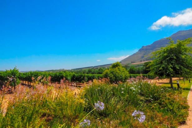 Cape Winelands, South Africa