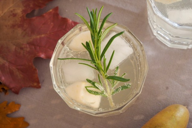 Unusual gin and tonic recipes