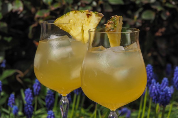 Best Mezcal cocktails for Cinco de Mayo