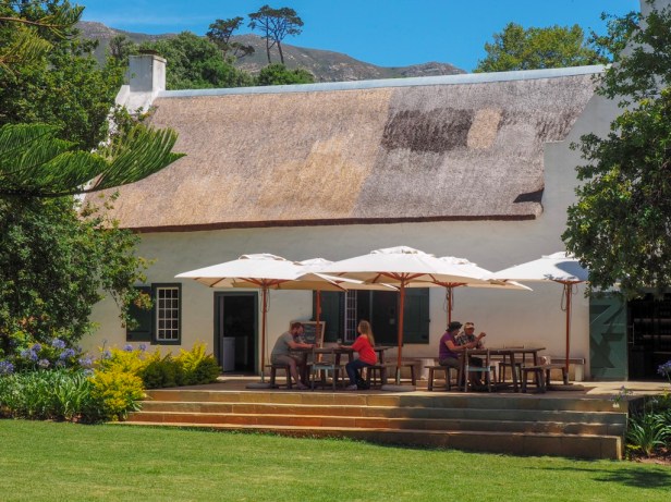 Sauvignon Blanc Wine Route in Constantia: The first varietal specific wine route in the world has launched