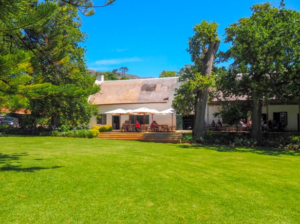 Sauvignon Blanc Wine Route in Constantia: The first varietal specific wine route in the world has launched