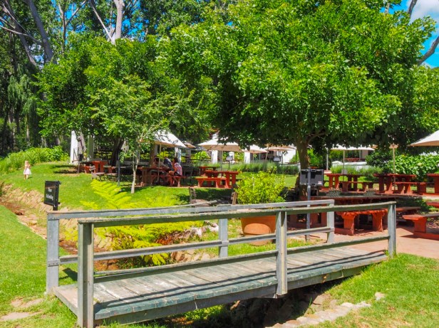 Sauvignon Blanc Wine Route in Constantia: The first varietal specific wine route in the world has launched