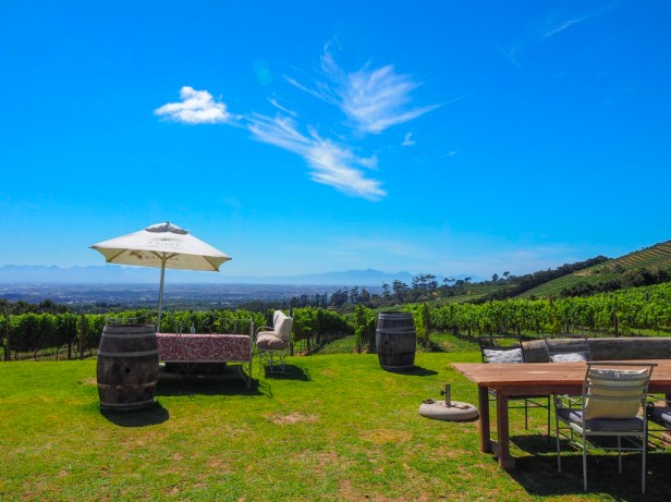 Sauvignon Blanc Wine Route in Constantia: The first varietal specific wine route in the world has launched