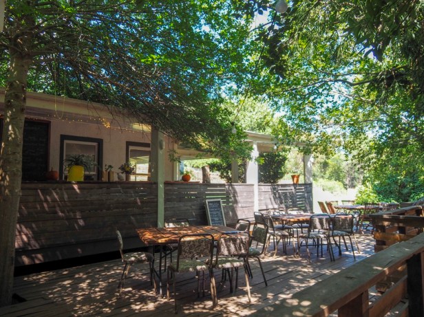 Sauvignon Blanc Wine Route in Constantia: The first varietal specific wine route in the world has launched