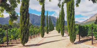 Travelling the Franschhoek Cap Classique Route from home