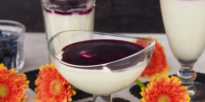 White chocolate coconut mousse with blueberry sauce