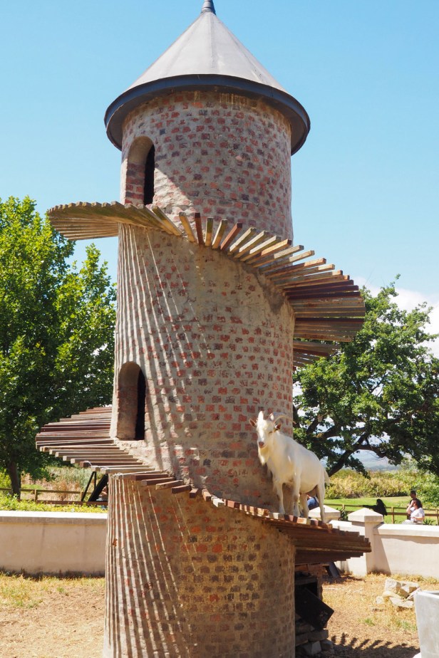 A bold red from South Africa: Fairview Cabernet Sauvignon paired with Hasselback Potatoes