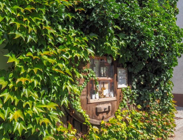 Why you should forget what you know about German Wine