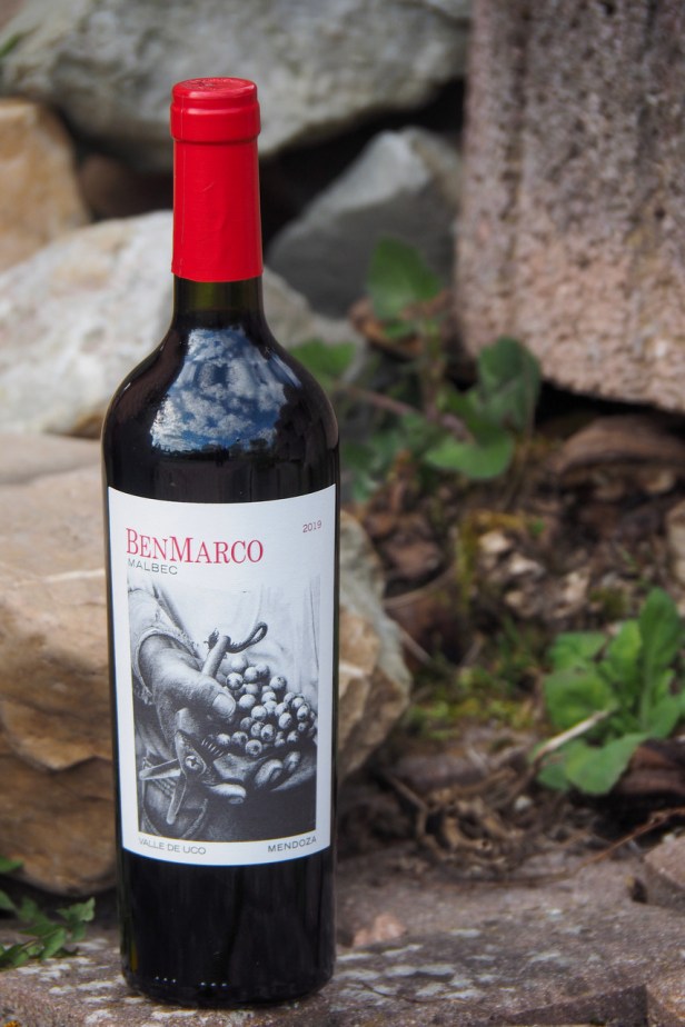 Lamb Guinness Stew | Susana Balbo Ben Marco Malbec