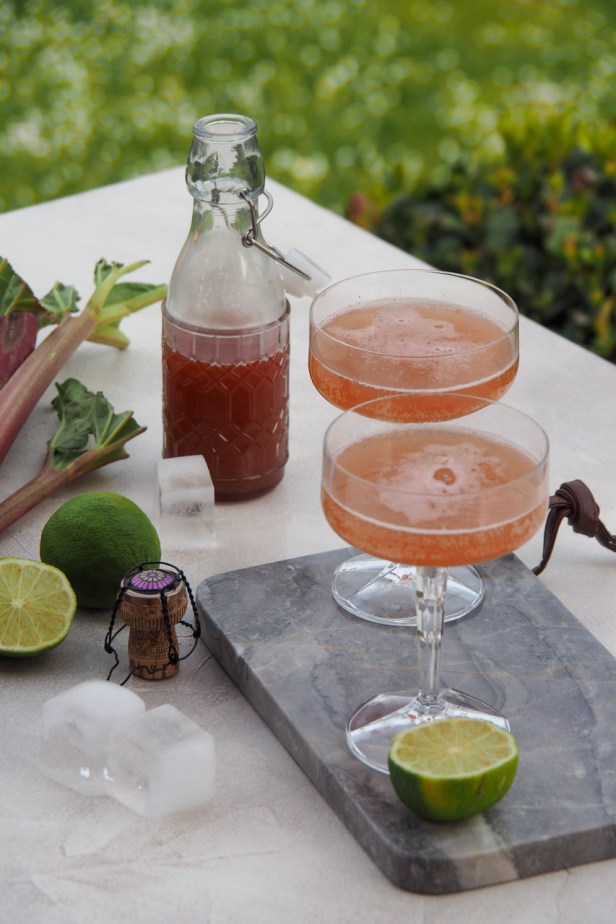 Rhubarb Gin Cocktail