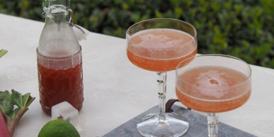 Rhubarb Gin Cocktail
