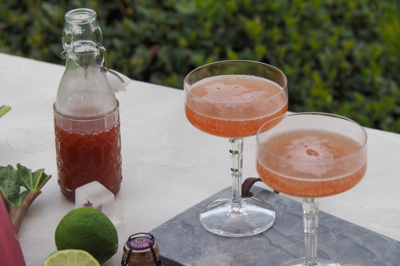 Rhubarb Gin Cocktail
