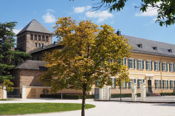 Riesling Giant Schloss Johannisberg Leans Into The Craft Gin Scene With Its Own Small Batch Schloss Gin