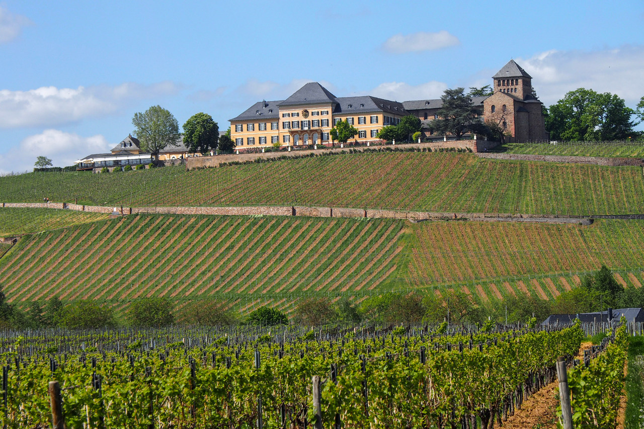 Riesling Giant Schloss Johannisberg Leans Into The Craft Gin Scene With Its Own Small Batch Schloss Gin