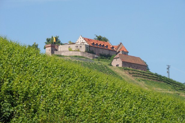Five Exciting Durbach Wineries Worth To Travel For