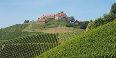 Five Exciting Durbach Wineries Worth To Travel For