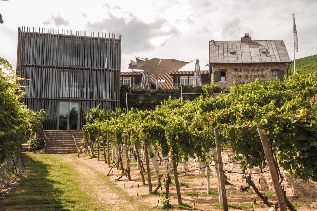 Würzburg: A fantastic two-day itinerary around wine and more