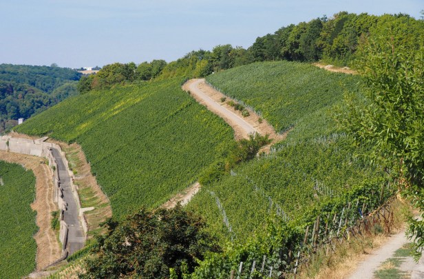 Steinburg Castle Hotel, Würzburg