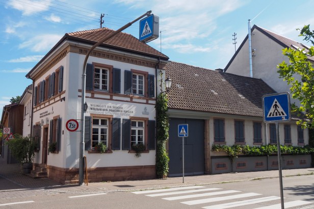 Get To Know Kaiserstuhl Wine Region, Germany’s Burgundy Hotspot